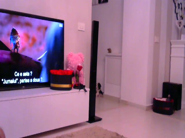Live sex webcam photo for Missy_alena #272138958