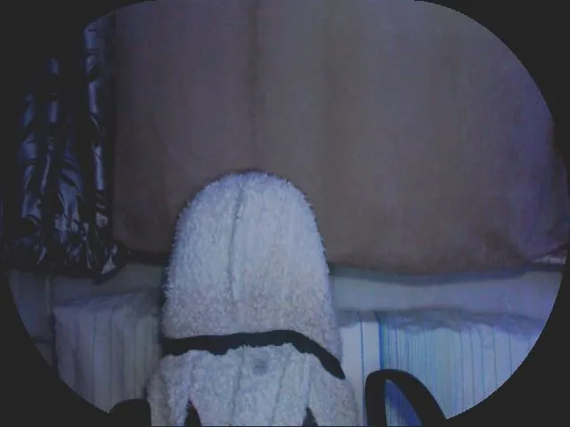 Live sex webcam photo for MollyMey #273574630