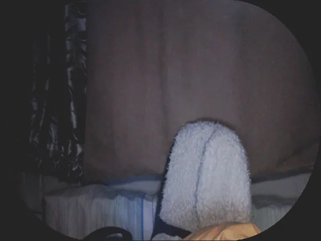 Live sex webcam photo for MollyMey #273583966