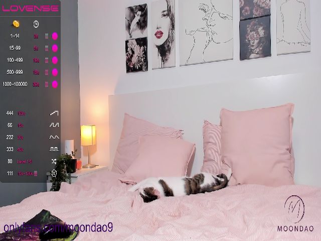 Live sex webcam photo for Moondao #273739182