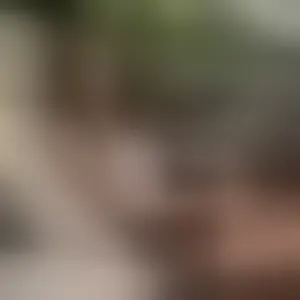 Live sex webcam photo for Moondao #292772408