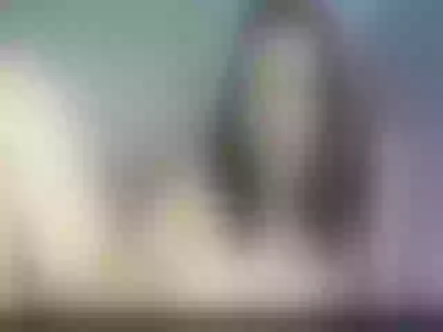 Live sex webcam photo for MrsRebecca #273369672