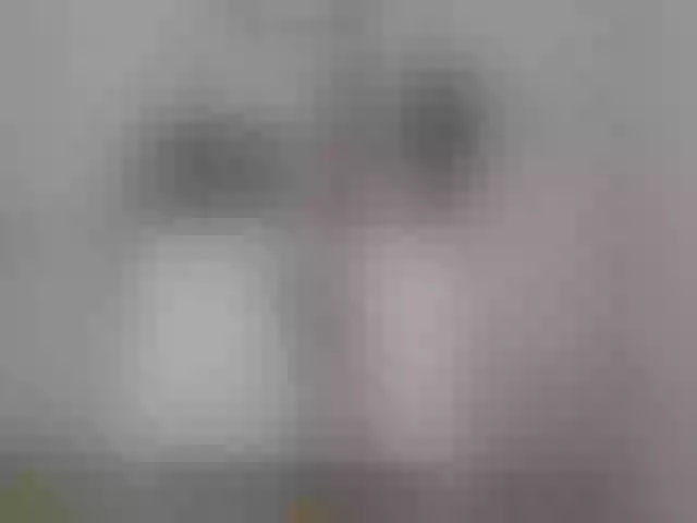 Live sex webcam photo for MsMarilyn #274638295