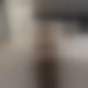 Live sex webcam photo for Naomi1997