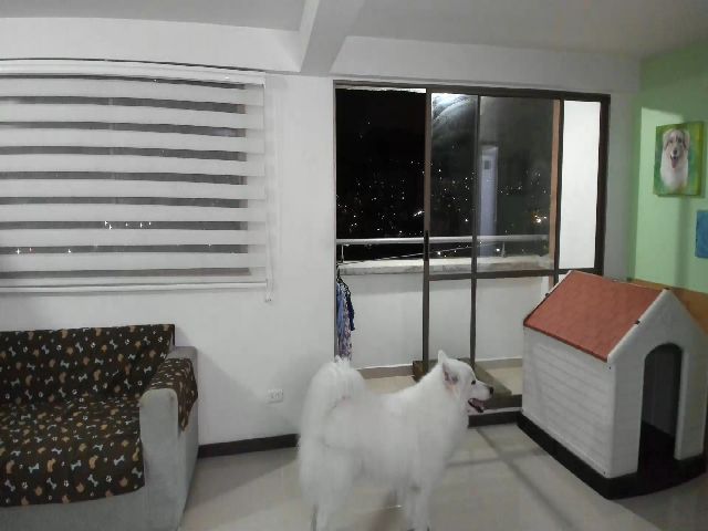 Live sex webcam photo for NataliaMFC_ #272884220