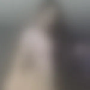 Live sex webcam photo for NatyCol #292770594