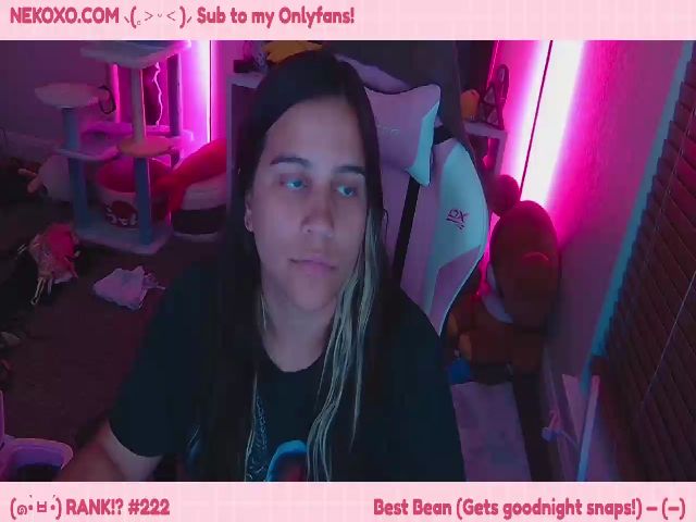 Live sex webcam photo for Nekobeanxo #274062190