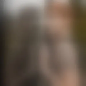Live sex webcam photo for NelParker #292784176