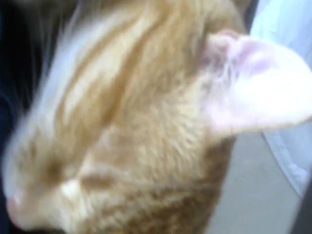 Live sex webcam photo for Next_Box #273075498