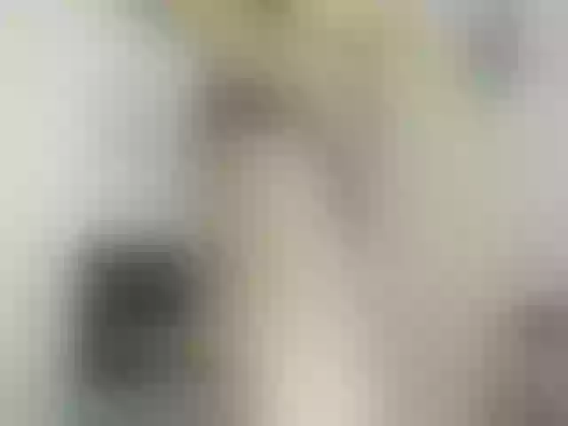 Live sex webcam photo for NicoleWind #273112777