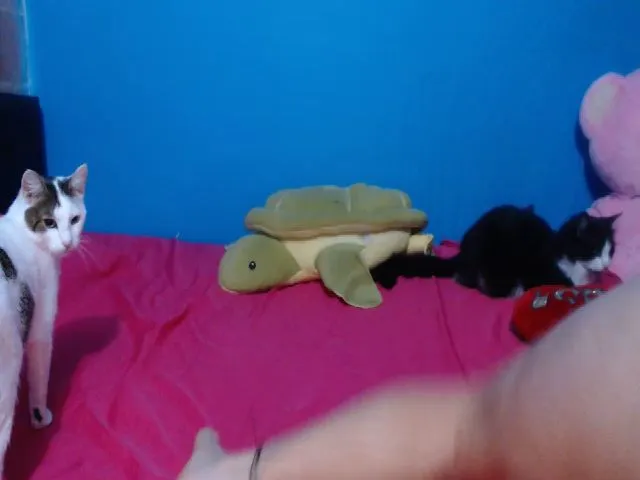 Live sex webcam photo for Niebla20 #272508247