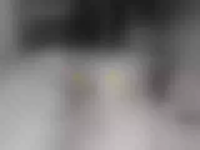 Live sex webcam photo for Nijuuyonjikan #272278661