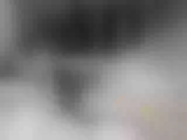 Live sex webcam photo for Nijuuyonjikan #272478307