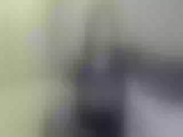 Live sex webcam photo for NikaRally #273344865