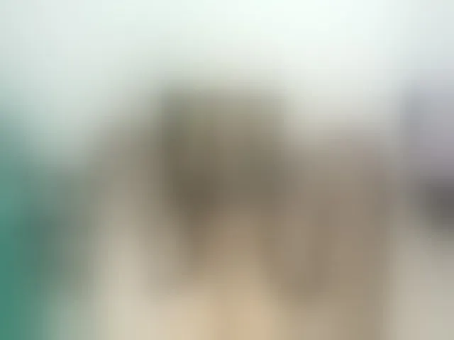 Live sex webcam photo for NikiFox1 #273411902