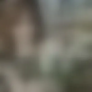 Live sex webcam photo for Nimfeya #292707482