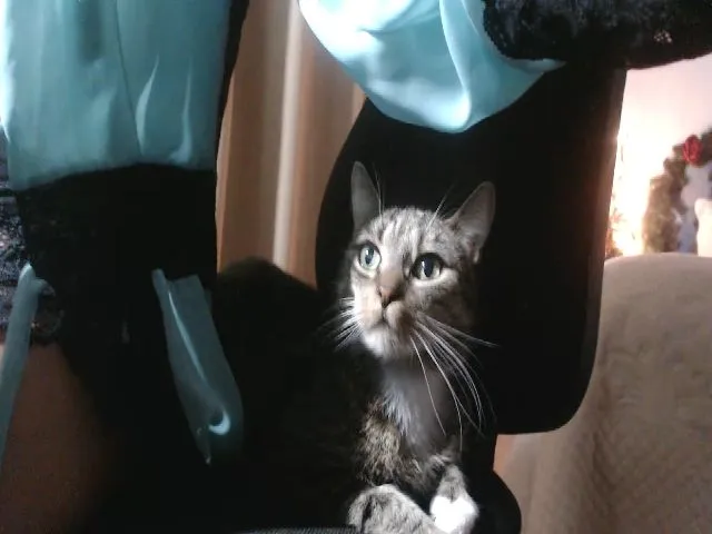 Live sex webcam photo for OhSoPrecious #272727985