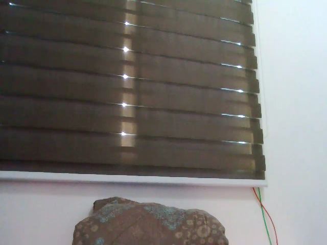 Live sex webcam photo for Ohlets #273137388