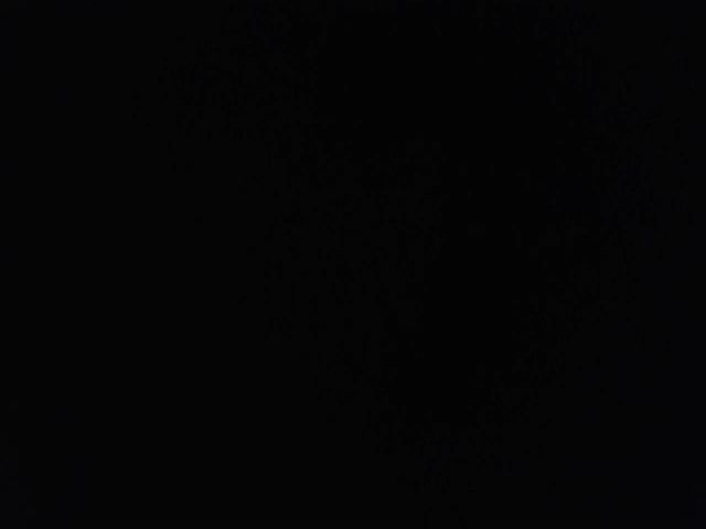 Live sex webcam photo for Orchid_Kitty #273017130