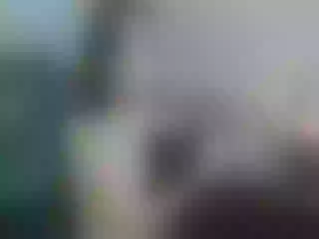 Live sex webcam photo for PacificBoujie #274656578