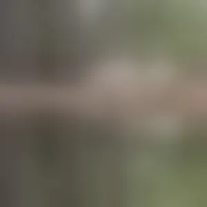 Live sex webcam photo for Pagevacation #292810829