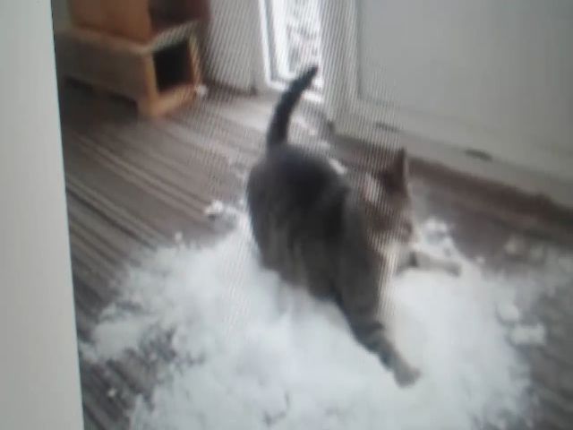 Live sex webcam photo for PetitePinkie #271785031