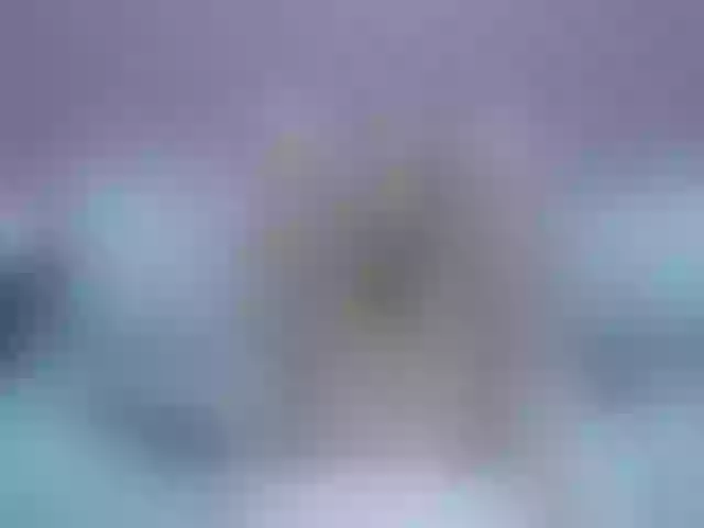 Live sex webcam photo for PinkChristine #272033539