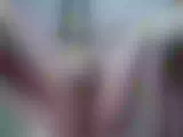 Live sex webcam photo for PlayfullHairy #273306736