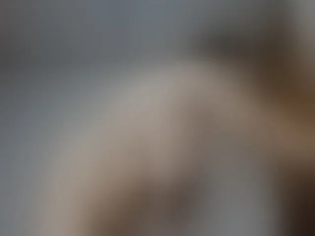 Live sex webcam photo for PlayfullHairy #273416719
