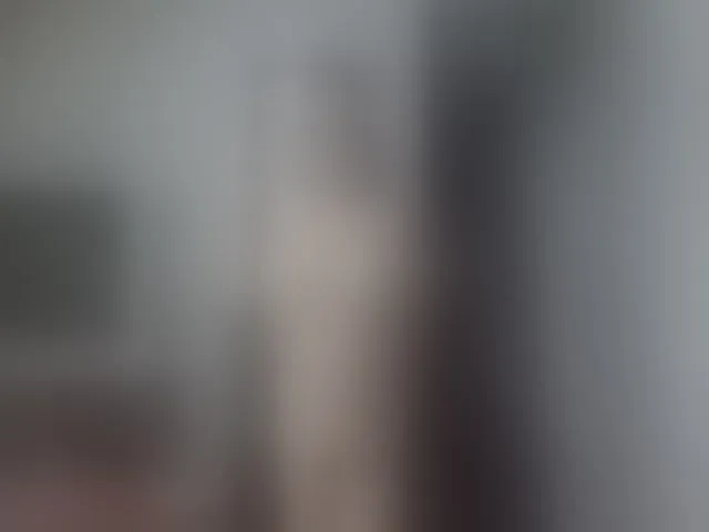 Live sex webcam photo for PlayfullHairy #273534871