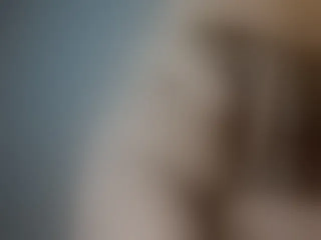 Live sex webcam photo for PlayfullHairy #273620523