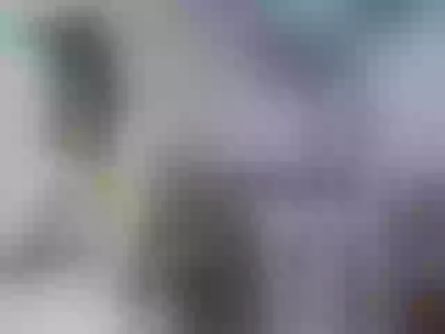 Live sex webcam photo for PlayfullHairy #274458724