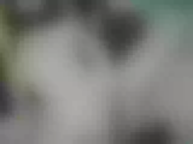 Live sex webcam photo for PureEmanuelle #272149194