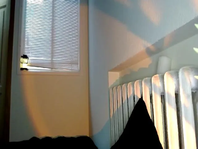 Live sex webcam photo for Pvt_quin #274199085