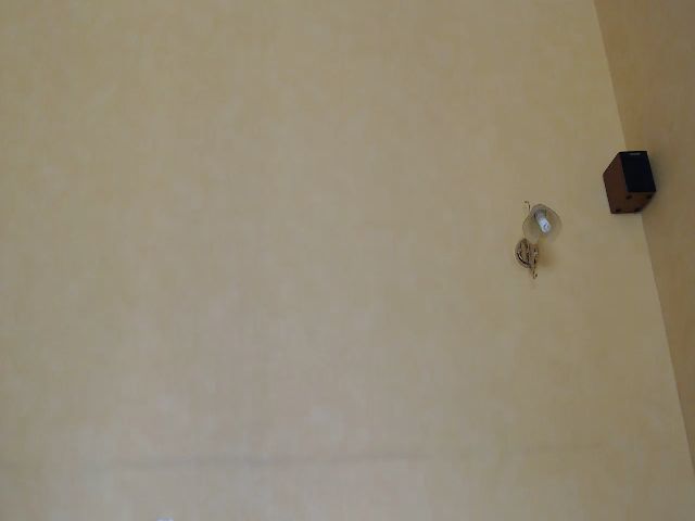 Live sex webcam photo for QueenSmile #273177202