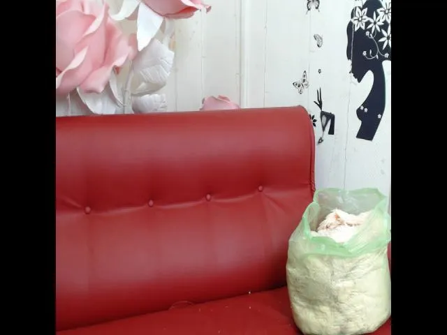 Live sex webcam photo for Queenwine #272629602