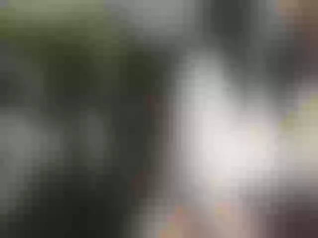 Live sex webcam photo for Reedanabwl #272926178
