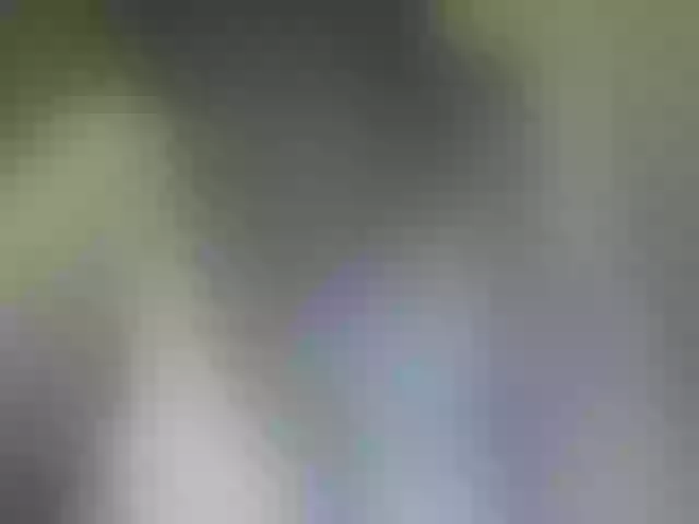 Live sex webcam photo for Reedanabwl #273233554