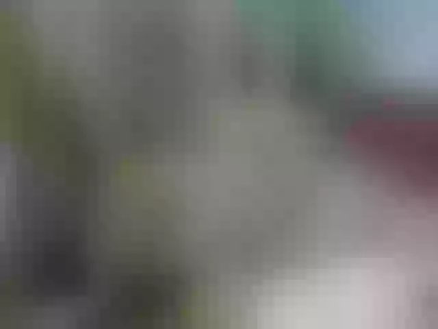 Live sex webcam photo for RockGoddesss #273398465