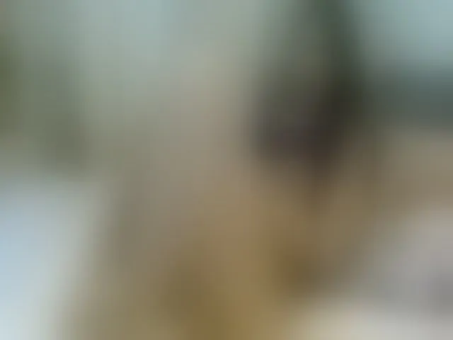 Live sex webcam photo for RockGoddesss #273932661