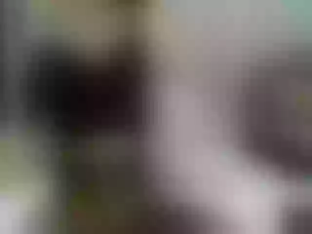 Live sex webcam photo for RockGoddesss #274070321