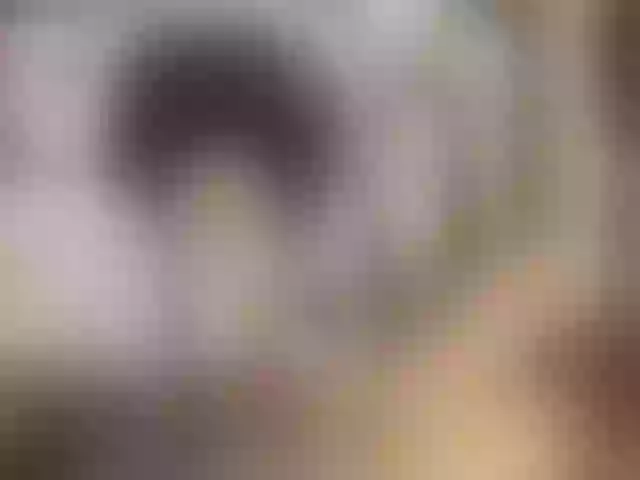 Live sex webcam photo for Rocxxxy #272565928