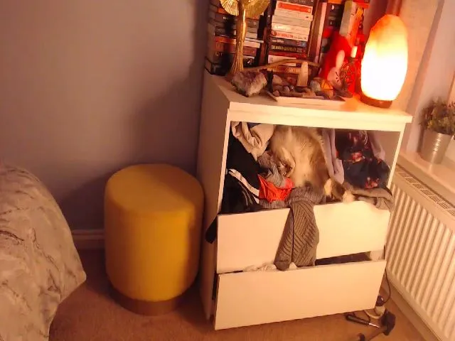 Live sex webcam photo for Rumour_ #271753766