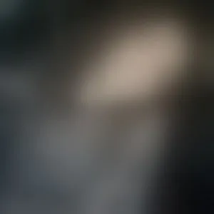 Live sex webcam photo for SHINYREIGN #293655310