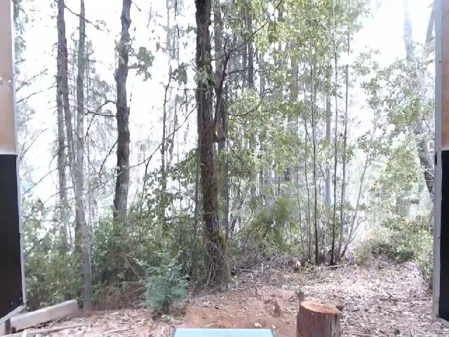 Live sex webcam photo for SLOTHYFOXY #273943181