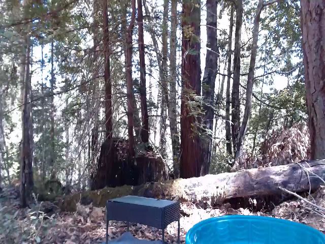 Live sex webcam photo for SLOTHYFOXY #274141333