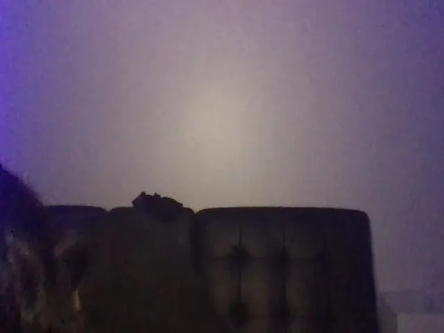 Live sex webcam photo for Sachaaaa_g_xo #273490624