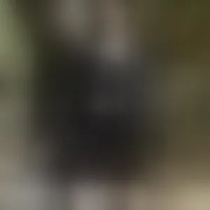 Live sex webcam photo for Santa_bb #292780457