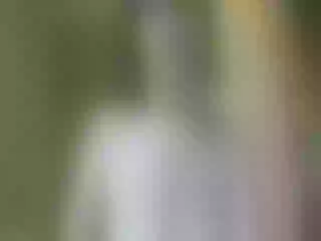 Live sex webcam photo for Satyvaa #271839997