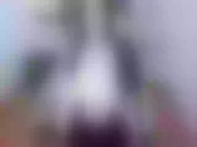 Live sex webcam photo for Scarletgrey #271779109